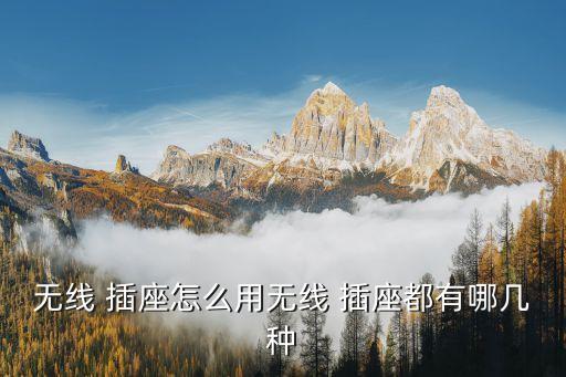 山西智能控制插座廠,吉林智能控制插座廠...